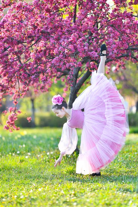 cherry blossom princesses.